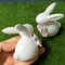 Basuo-9Q Set of Mini Ceramic Rabbit Figurines, Porcelain Easter Bunny Decorations for Home, Tabletop Ornament, Tea Ceremony Pet (2-Flower)
